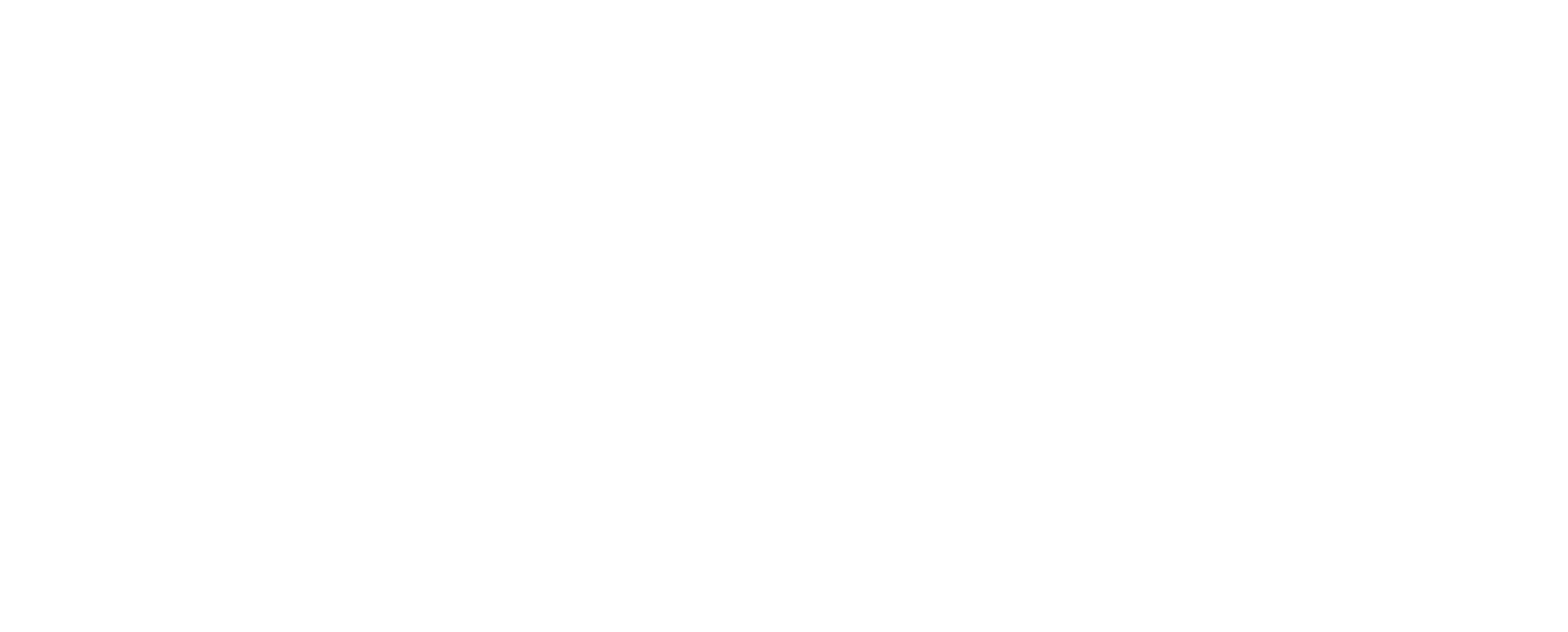 Logo white