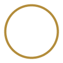 instagram-circle